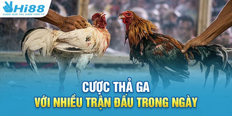 Trực Tiếp Đá Gà Mộc Bài - Bật Mí Cách Chơi Luôn Thắng 2 Đặt cược bắt kèo đá gà thả ga lợi nhuận khủng