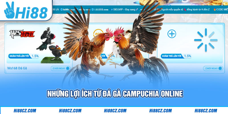 Đá Gà Campuchia Online - Sự Hấp Dẫn Từ Cuộc So Tài Nảy Lửa 1 Những lợi ích từ đá gà Campuchia online